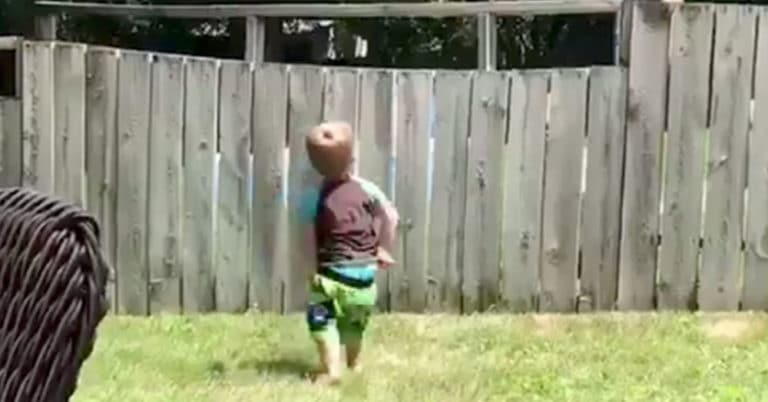 2-year-old son playing with his neighbor’s dog