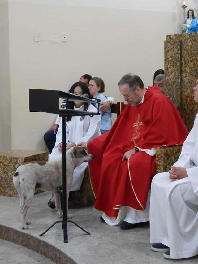 dog on the church altar
