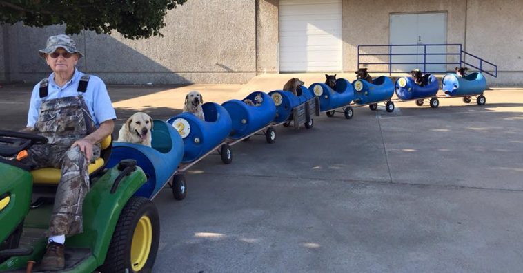 Dog Train