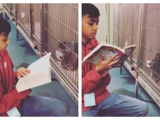 Boy Reads to Shelter Dogs