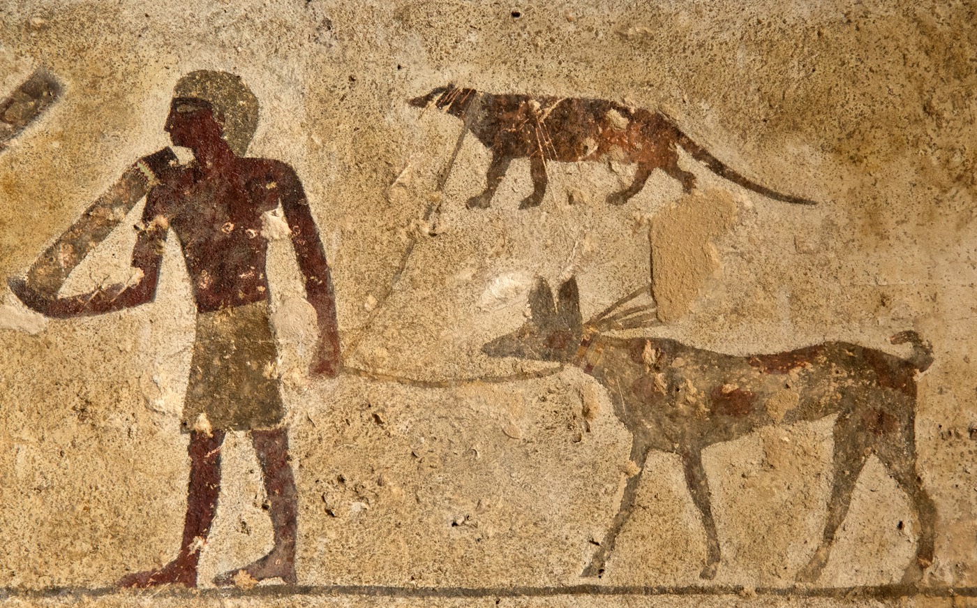dogs in ancient Egypt