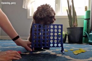 connect 4 
