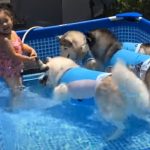 Adorable Pool Party