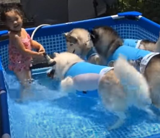 Adorable Pool Party